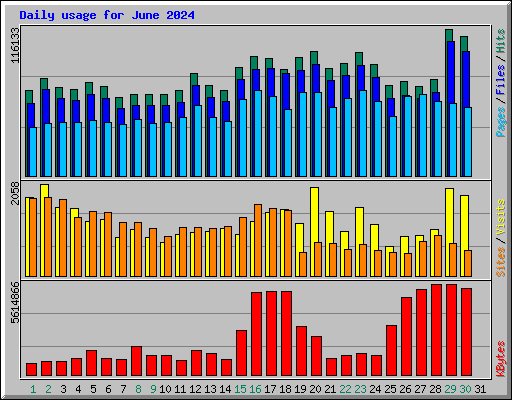 Daily usage for June 2024