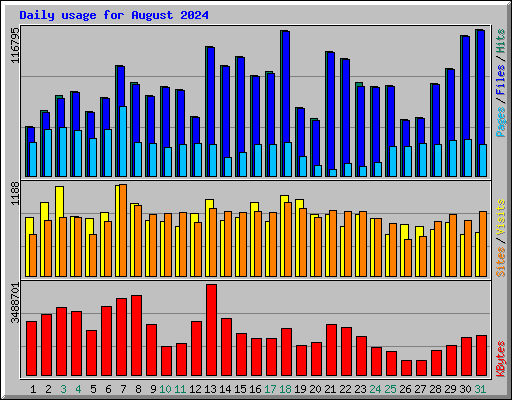 Daily usage for August 2024