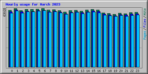 Hourly usage for March 2023