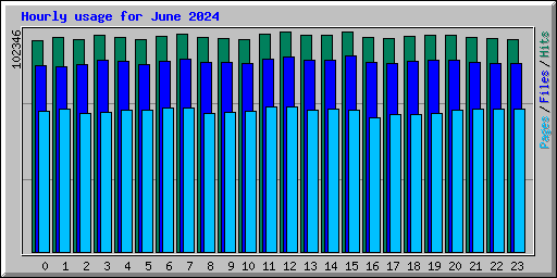 Hourly usage for June 2024