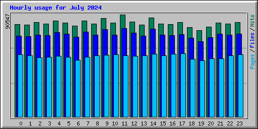 Hourly usage for July 2024