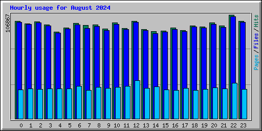 Hourly usage for August 2024