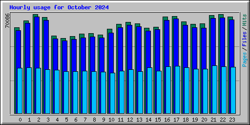 Hourly usage for October 2024