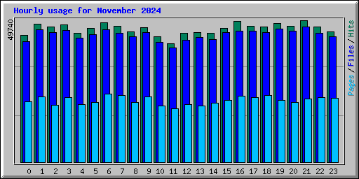 Hourly usage for November 2024