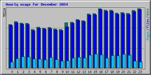 Hourly usage for December 2024