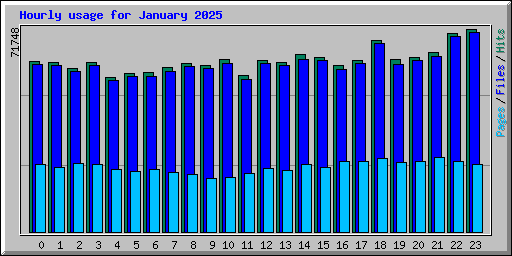 Hourly usage for January 2025