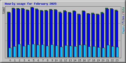 Hourly usage for February 2025