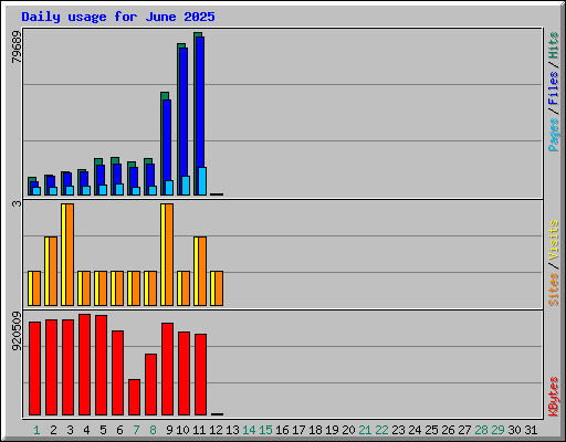 Daily usage for June 2025