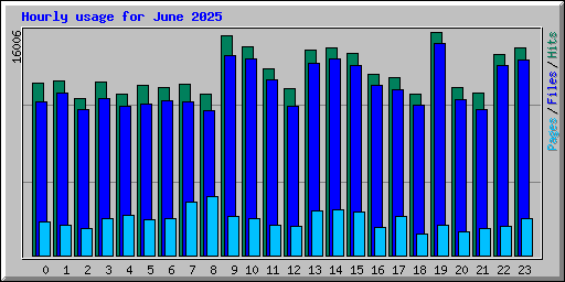 Hourly usage for June 2025