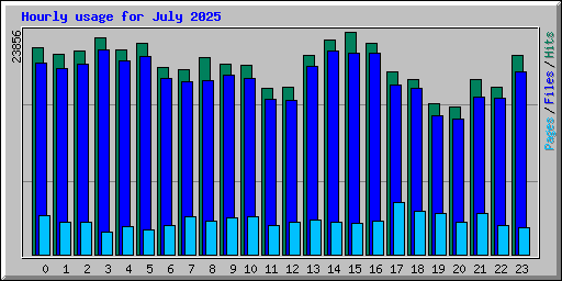 Hourly usage for July 2025