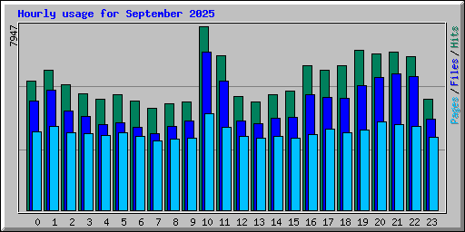 Hourly usage for September 2025