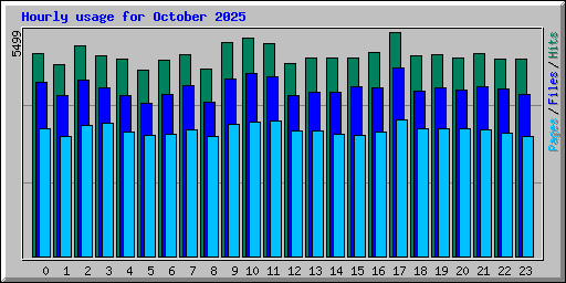 Hourly usage for October 2025
