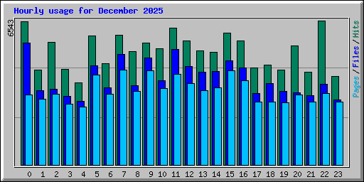 Hourly usage for December 2025