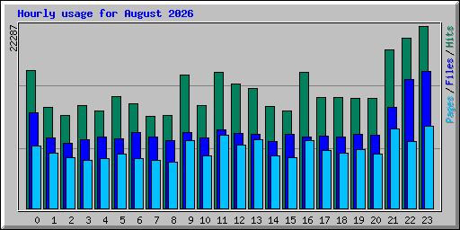 Hourly usage for August 2026